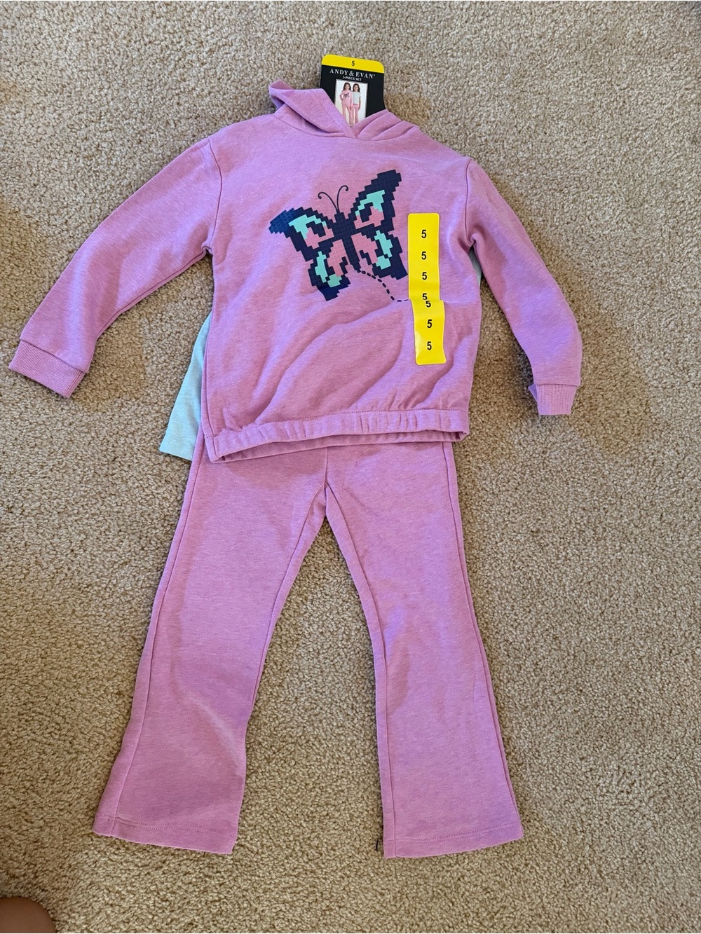Girls Pink Butterfly Hoodie & Pants Set